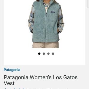 Patagonia Soft Gray Fleece Vest